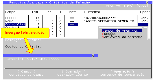 Funcao Inserir Campo Funcoes Variaveis 2.gif