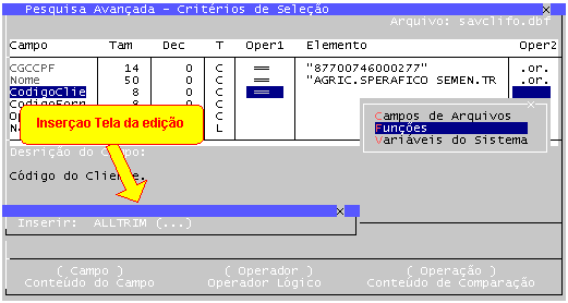 Funcao Inserir Campo Funcoes Variaveis 3.gif