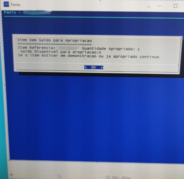 ItemSemSaldoParaApropriacao blur.jpeg