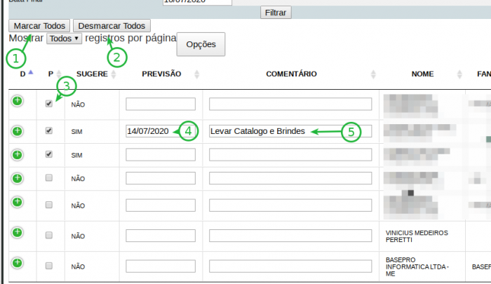 Programacaodevisitas4.png